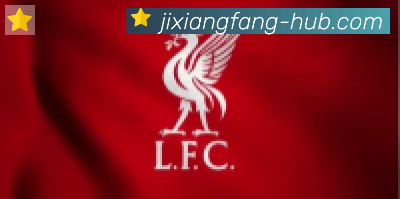 jxf吉祥坊合作伙伴